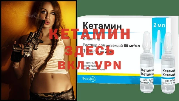 твердый Дмитриев